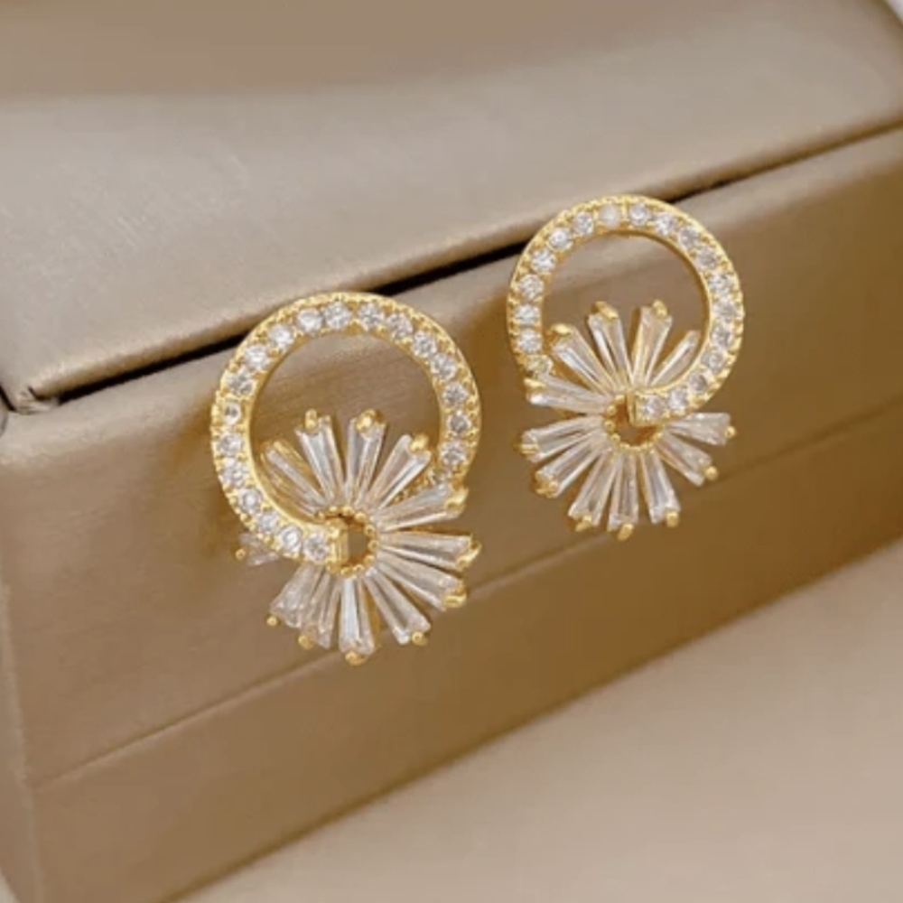 Elegant Gold and Silver Earrings
